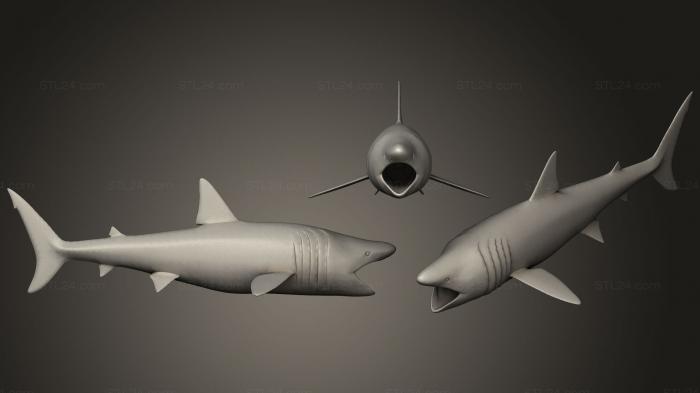 Figurines simple (Basking Shark, STKPR_0128) 3D models for cnc